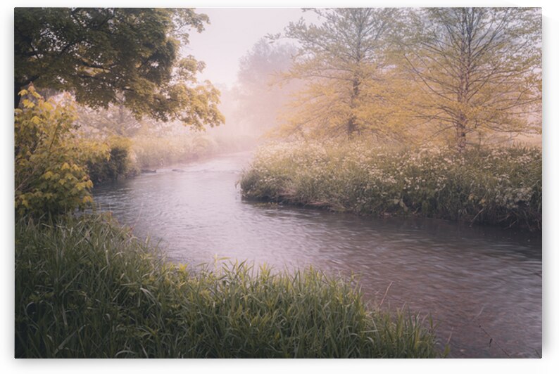 Cedar Creek Park   Misty River by Jason Fink