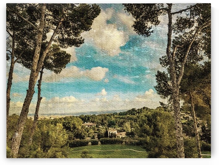 NANCY CALVERT PHOTOGRAPHY: JDavis Umbrellas 1 by Nancy Calvert