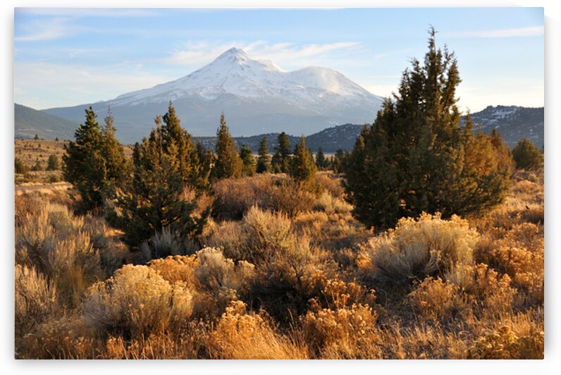 Mount Shasta in the Fall - California by Gary Whitton
