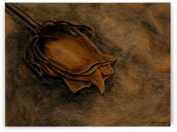 Rusty Rose by Faye Anastasopoulou