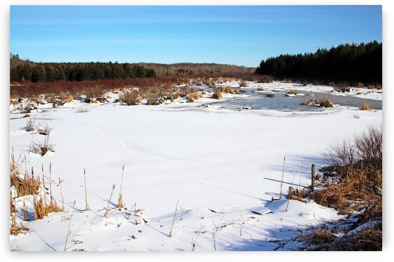 January Roadside Pond II by Deb Oppermann