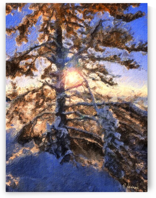 Frosty Winter Sunrise – Hunts Point Nova Scotia by Paul Newman Studio