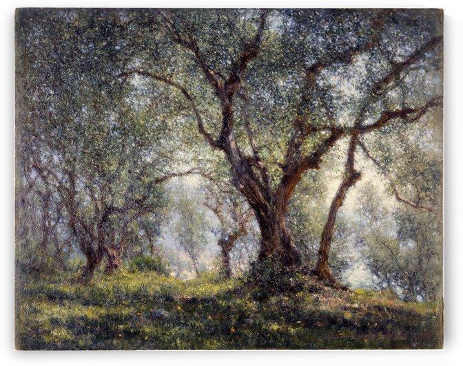 Les oliviers a Menton by Henry Brokman