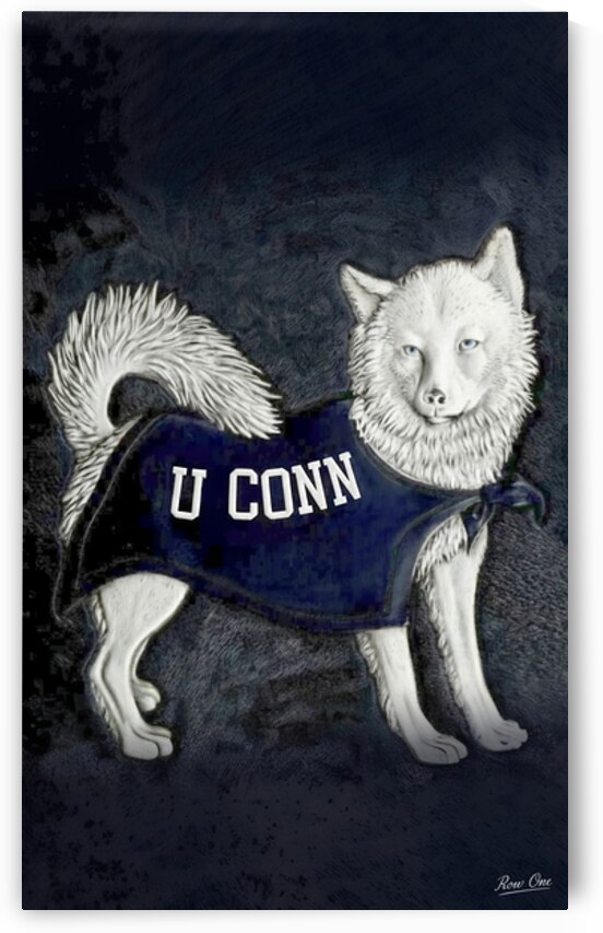 Vintage 1950s Connecticut Huskies Art by Row One Brand
