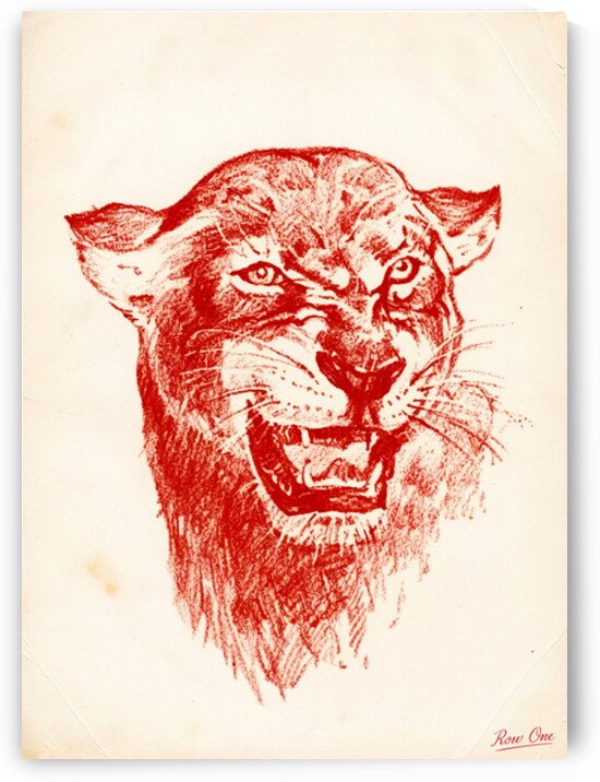 1940s Houston Cougar Art | Row One by Row One Brand
