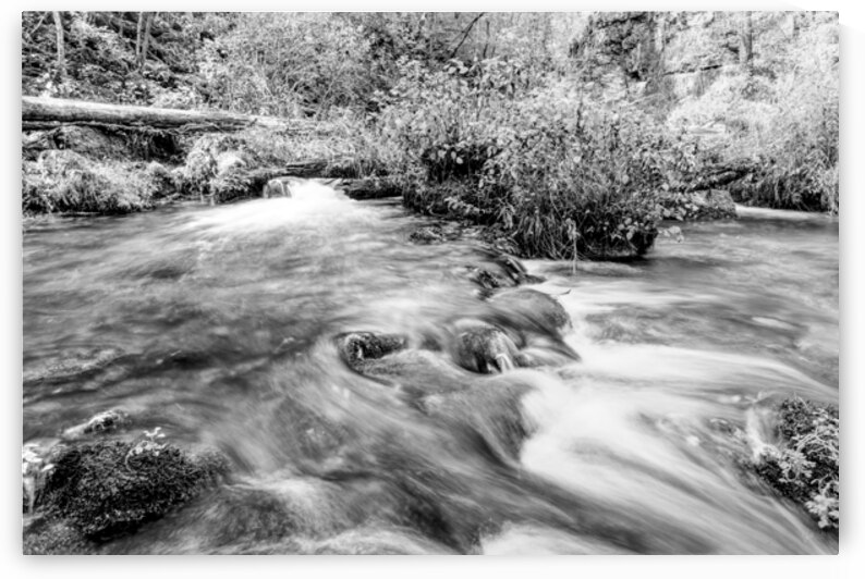 Autumn Cascades At Ozarks Greer Spring Grayscale by Jennifer White