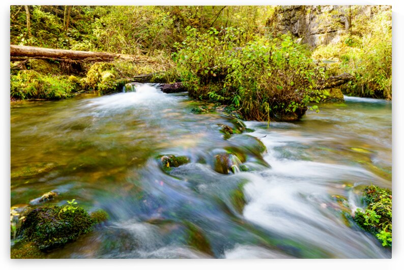 Autumn Cascades At Ozarks Greer Spring by Jennifer White