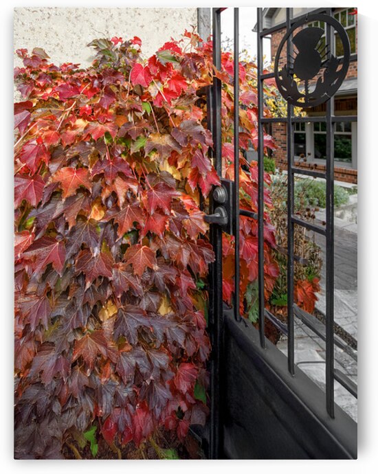 A Scottish Entry by Thea Menagh