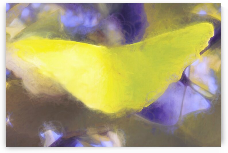 The Yellow Ginkgo Leaf by Norma Brandsberg Photography