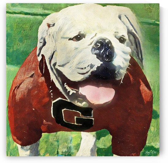 Vintage UGA Bulldog Art | Row One by Row One Brand