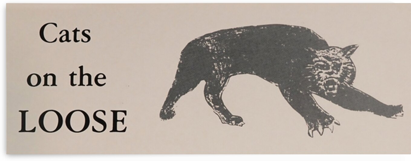 Cats on the Loose by Row One Brand