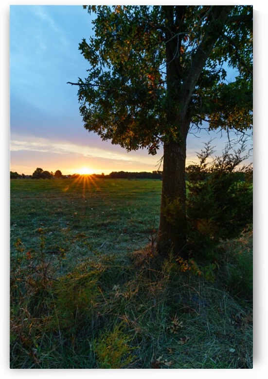 Golden Rays Of A Country Sunrise by Jennifer White