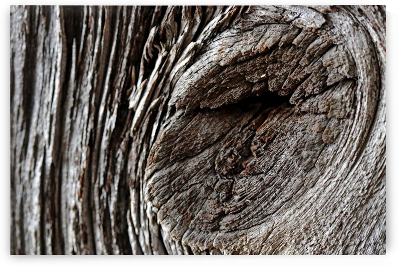 Barn Board by Deb Oppermann