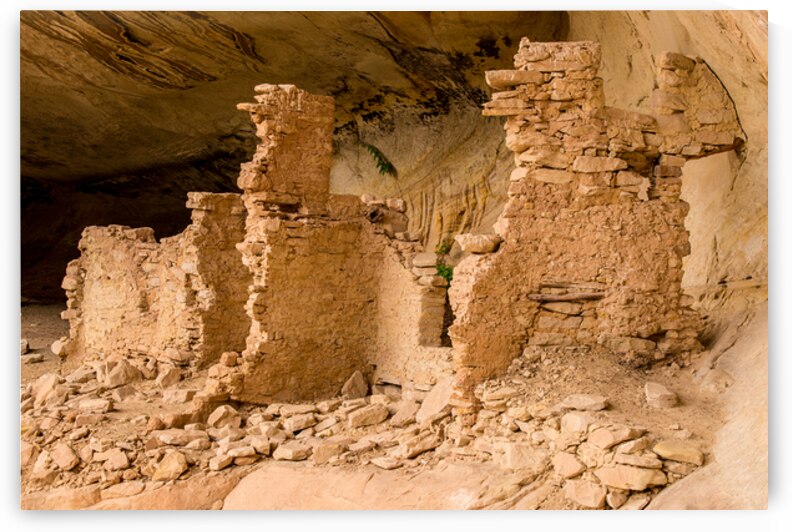 Monarch Cave Anasazi Ruin - Utah by Gary Whitton