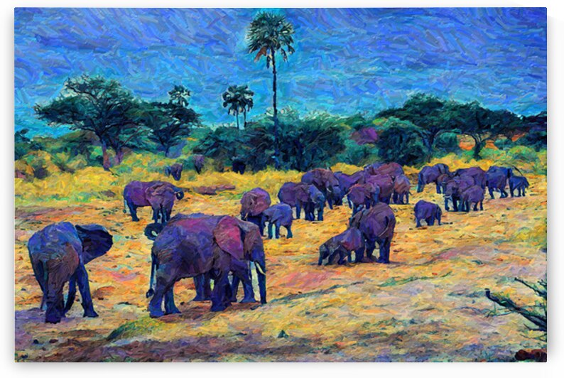 Elephants At Lake Manyara Tanzania by W J Brown