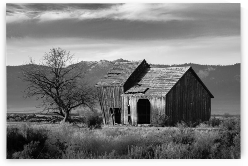 The Old Barn Monochrome - Lassen County California by Mike Lee