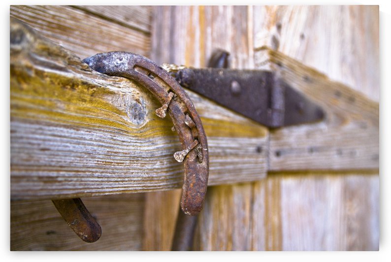 Horse Shoe by SW Visual Art