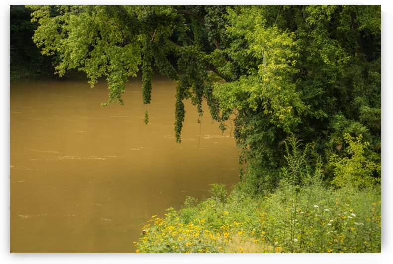 Green River in Summer - Mammoth Cave National Park  - Kentucky by Gary Whitton