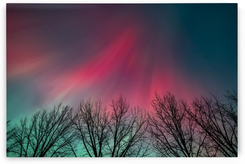 Cosmic Fire by Marc Gilbert Photography