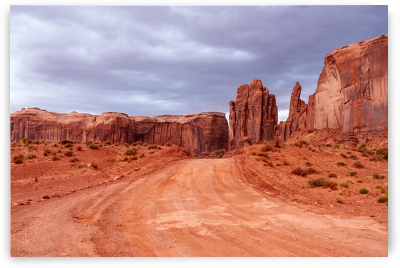 Desert Meets The Storm by Jennifer White