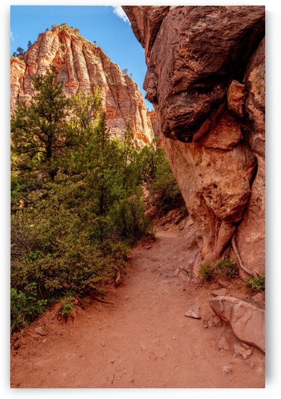 Trail to the Heights Zion Canyon Overlook by Jennifer White
