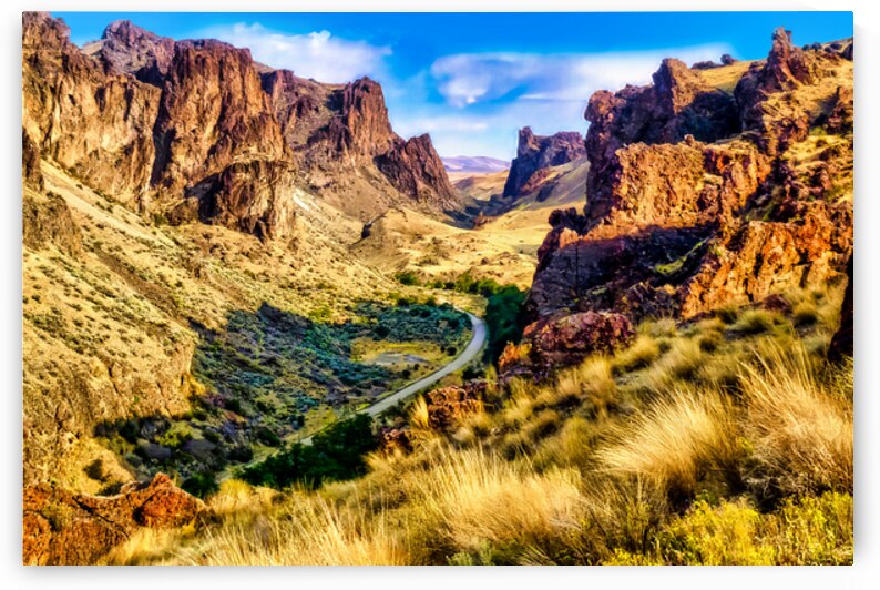 Winding Road Through Owyhee Canyonlands by Shelia Hunt Photography