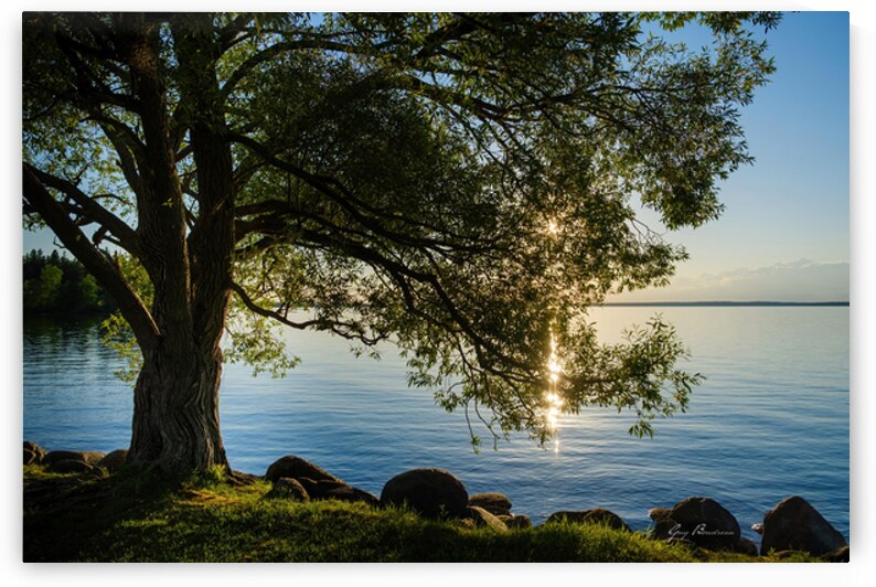 Scintillement by Guy Boudreau