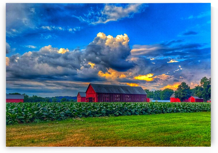 09 Summer Card by Kevin Savage