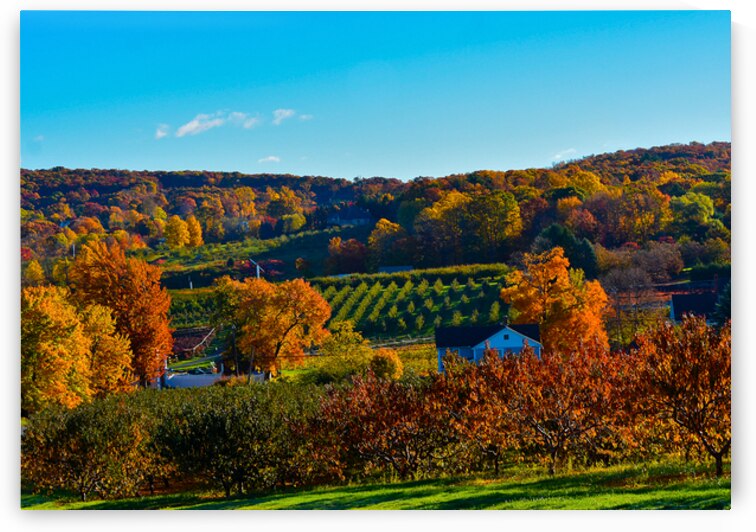 04 Autumn Card by Kevin Savage