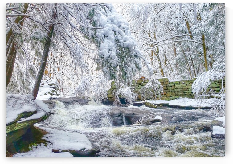 12 Winter Card by Kevin Savage