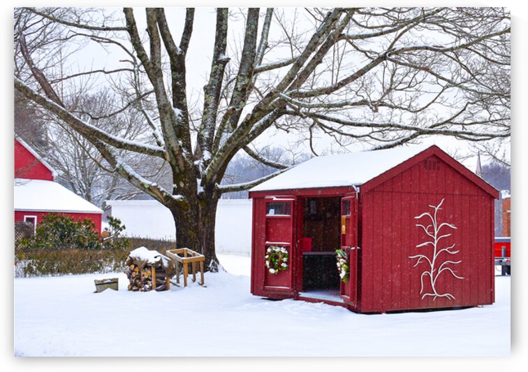 13 Winter Card by Kevin Savage