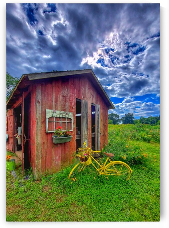 08 Summer Card by Kevin Savage