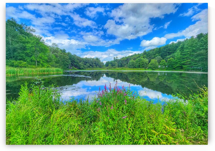 07 Spring Card by Kevin Savage