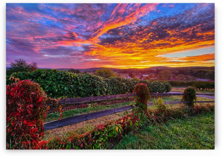 05 Spring Card by Kevin Savage