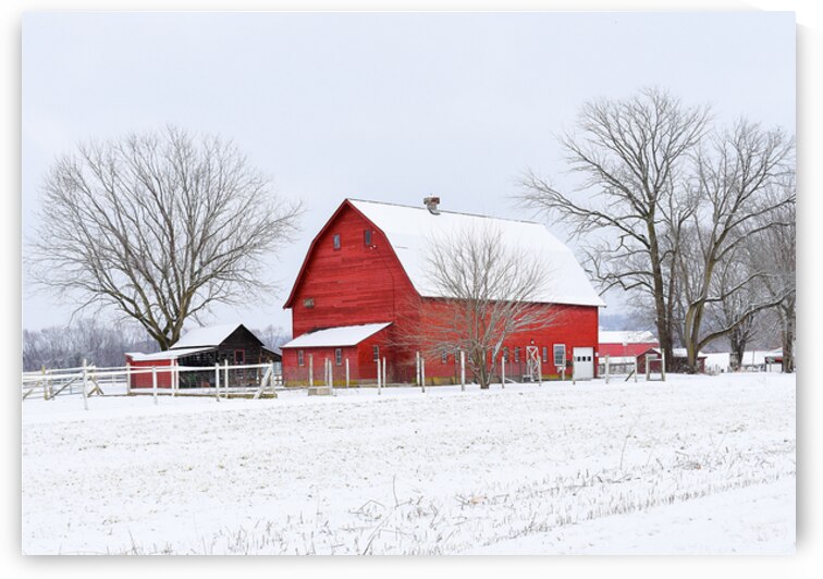 15 Winter Card by Kevin Savage