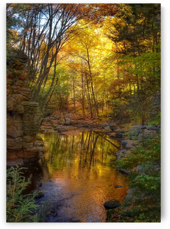 02 Autumn Card by Kevin Savage