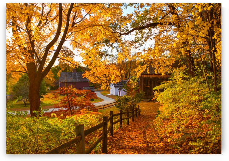 01 Autumn Card by Kevin Savage