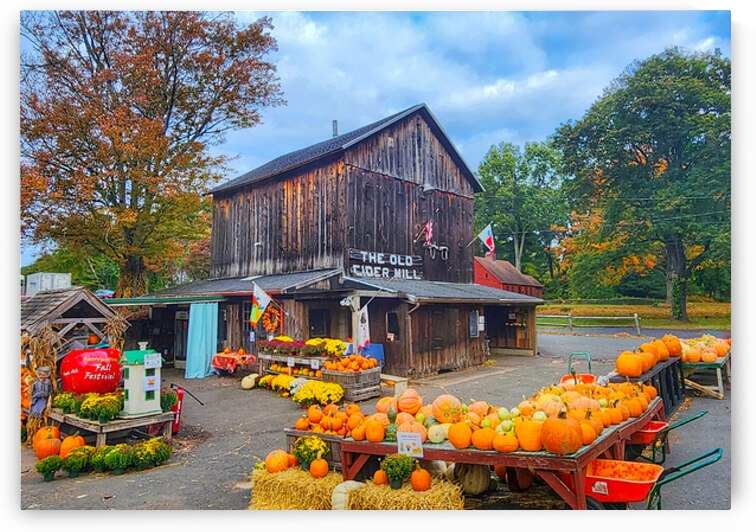 03 Autumn Card by Kevin Savage