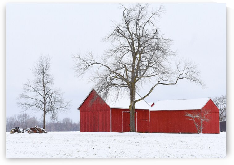 11 Winter Card by Kevin Savage