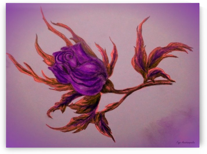 Decorative Wild Rose by Faye Anastasopoulou