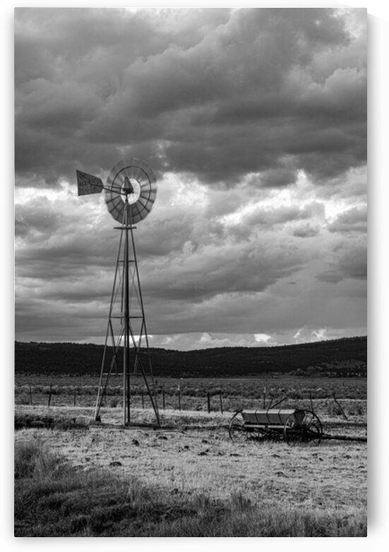 Madeline Aermotor Monochrome - Lassen County California by Mike Lee