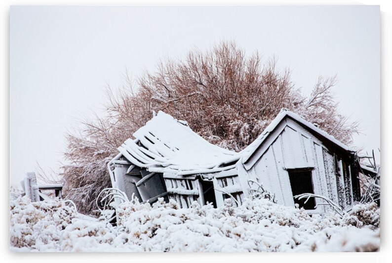 Sagging With Age - Lassen County California by Mike Lee