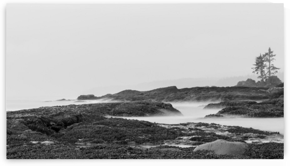 Mist Over the Tidal Rocks by Kim Hexter Photography