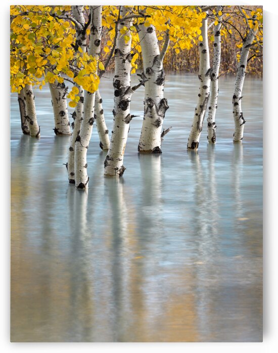 Flooded in Light by Kim Hexter Photography
