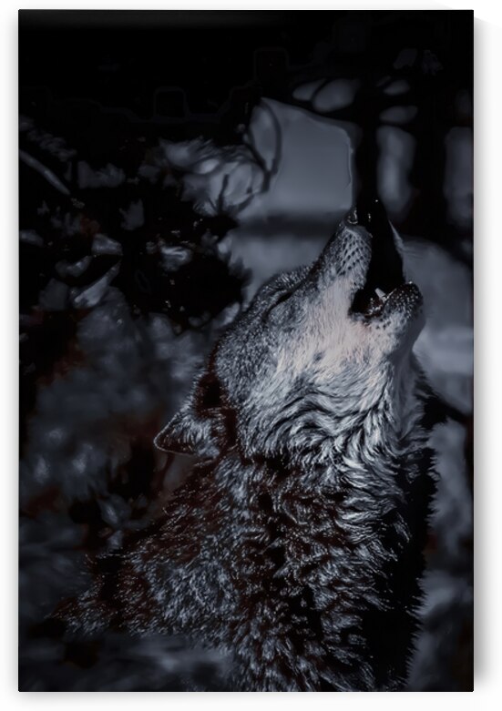 Howl by Dustin Breau