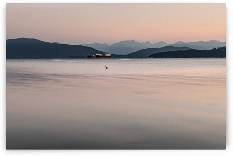 Quiet Solace by Marilaine Delisle