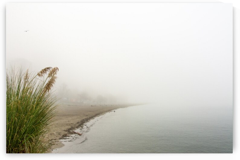 Fog Carved Crescent by Marilaine Delisle