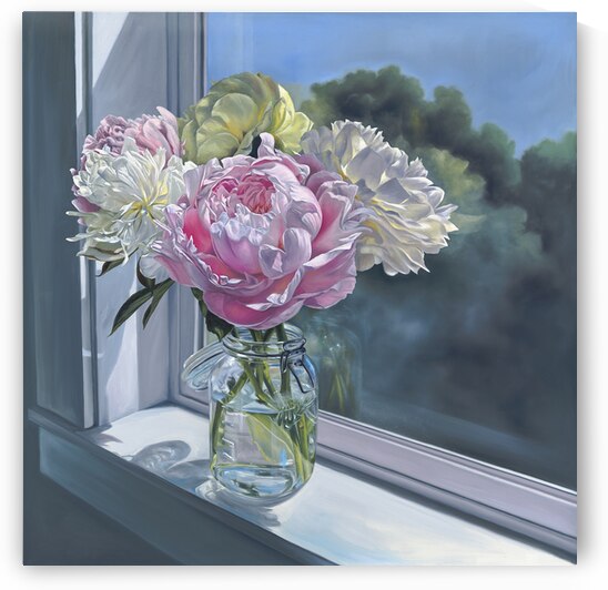 Live in the Sunshine 1 by Jenny Stewart