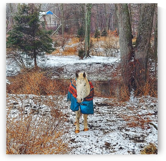 Cherokee by Kevin Savage