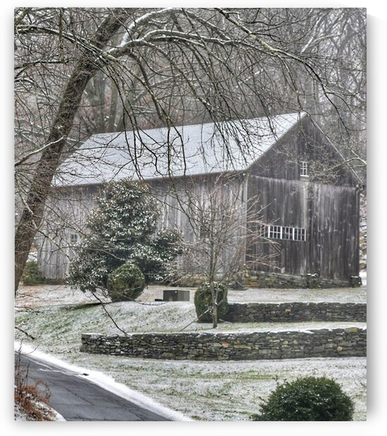 Gray Day by Kevin Savage